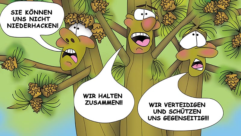 Bizzy Buddies - Die Drei Baumbruder humorvolle illustrierte Geschichte