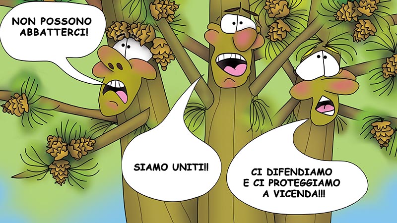 Bizzy Buddies - I Tre Fratelli Albero Storia illustrata umoristica