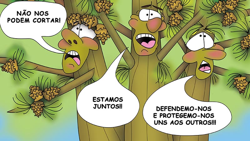The Bizzy Buddies - Os Tres Irmaos da Arvore historia ilustrada bem-humorada