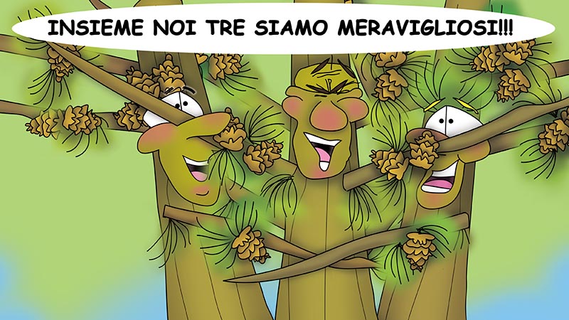 Bizzy Buddies - I Tre Fratelli Albero Storia illustrata umoristica