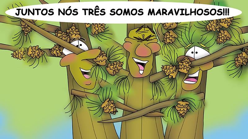 The Bizzy Buddies - Os Tres Irmaos da Arvore historia ilustrada bem-humorada