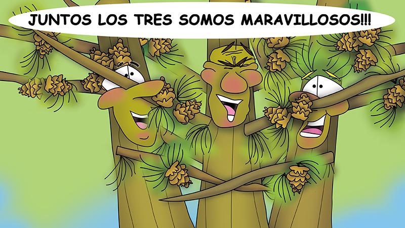 Bizzy Buddies - Los Tres Hermanos Arbol Historia ilustrada humorística