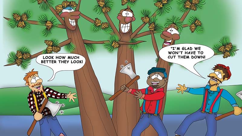 Bizzy Buddies - The Three Tree Brothers - multi lingual childrens stories english french italian spanish german portuguese