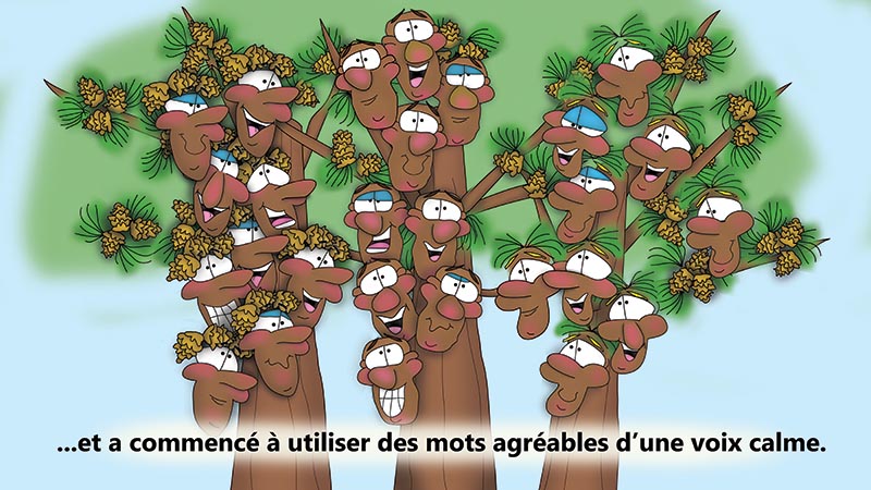 Bizzy Buddies - Les Trois Frères des Arbres Histoire illustree humoristique