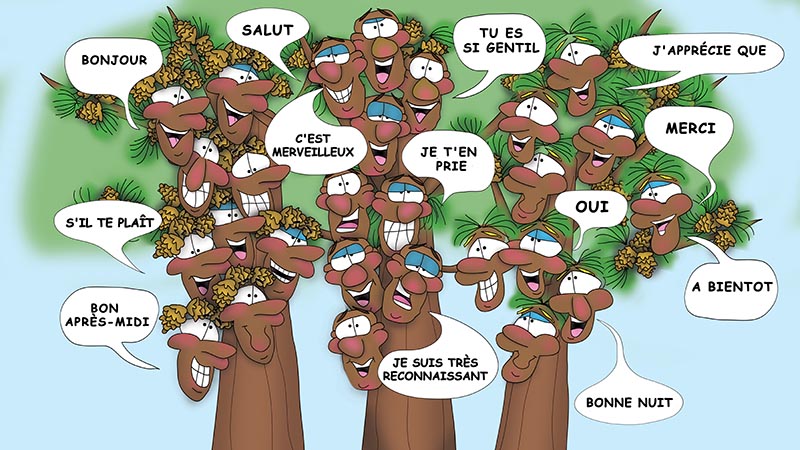 Bizzy Buddies - Les Trois Frères des Arbres Histoire illustree humoristique