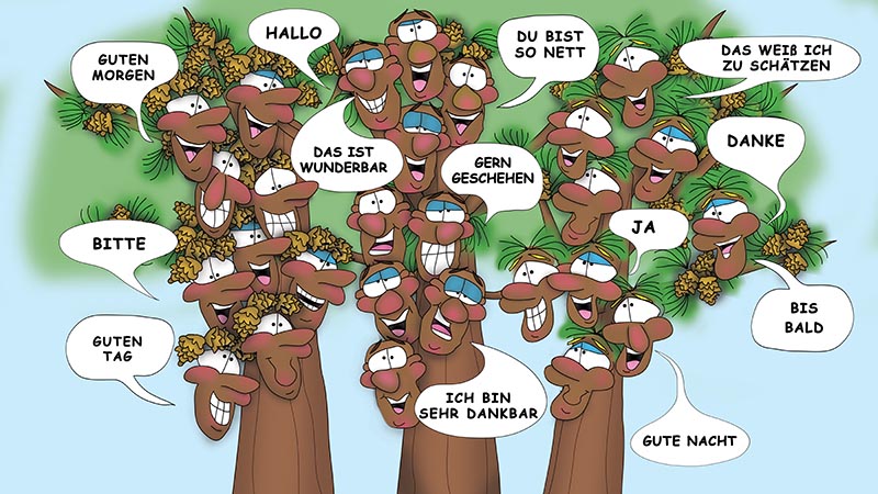 Bizzy Buddies - Die Drei Baumbruder humorvolle illustrierte Geschichte
