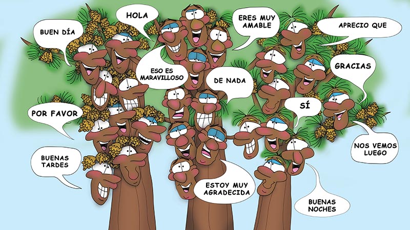Bizzy Buddies - Los Tres Hermanos Arbol Historia ilustrada humorística