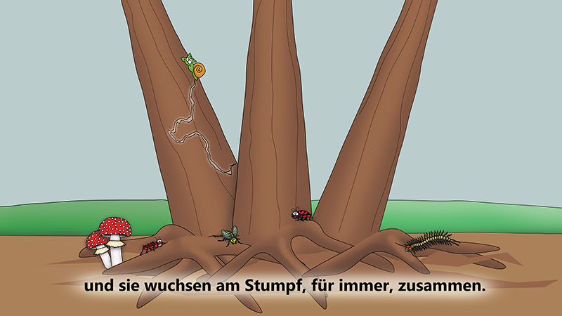 Bizzy Buddies - Die Drei Baumbruder humorvolle illustrierte Geschichte