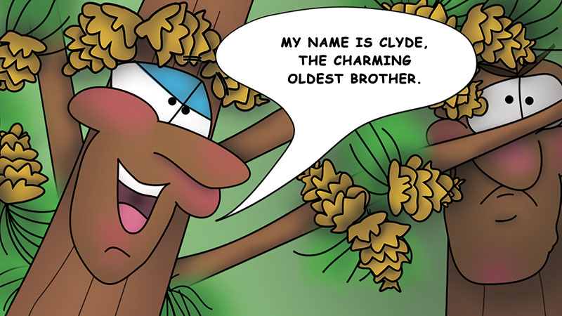 Bizzy Buddies - The Three Tree Brothers - multi lingual childrens stories english french italian spanish german portuguese