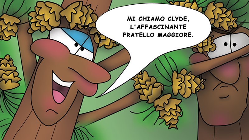 Bizzy Buddies - I Tre Fratelli Dell'Albero - english french italian spanish german