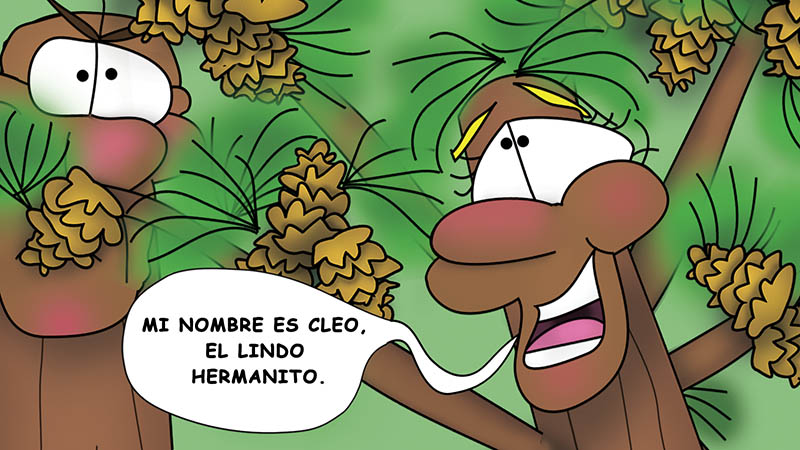 Bizzy Buddies - Los Tres Hermanos Arbol Historia ilustrada humorística