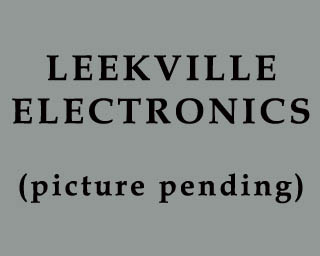 The Bizzy Buddies Snail's Pace Productions Humorous Illustrated Stories Vuja Day Artist Comedy Writer Leekville Electronics Leekville Mall
