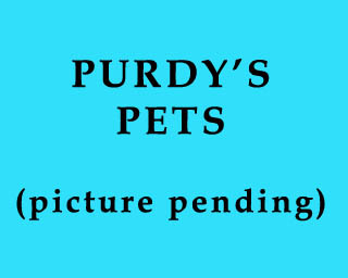 The Bizzy Buddies Snail's Pace Productions Humorous Illustrated Stories Vuja Day Artist Comedy Writer Purdys Pets Leekville Mall