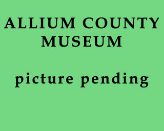 The Bizzy Buddies Snail's Pace Productions Humorous Illustrated Stories Vuja Day Artist Illustrator Allium County Museum Leek Diamond