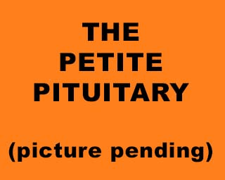 The Bizzy Buddies Snail's Pace Productions Humorous Illustrated Stories Vuja Day Artist Comedy Writer The Petite Pituitary Gland