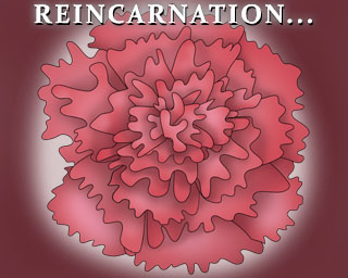 The Bizzy Buddies Snail's Pace Productions Humorous Illustrated Stories Vuja Day Artist Illustrator Reincarnation