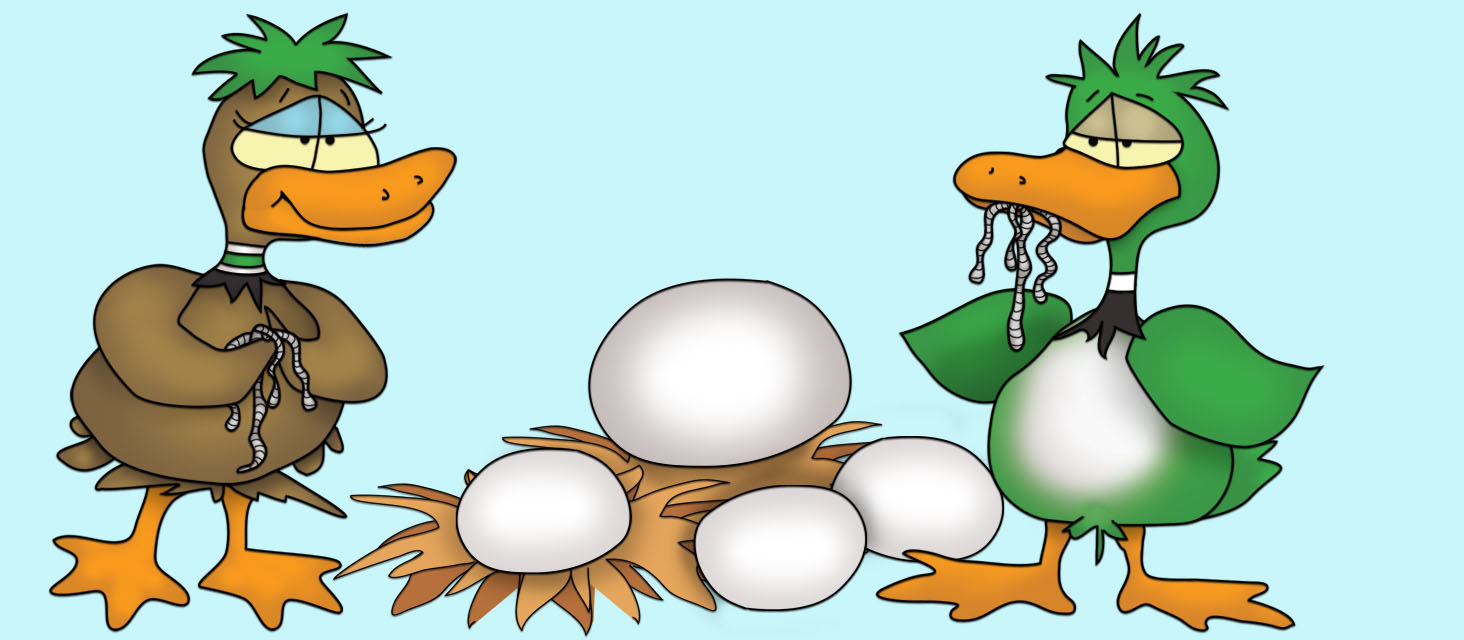 The Aesthetically Challenged Duckling The Bizzy Buddies Snail's Pace Productions Vuja Day Comedian Writer Artist
