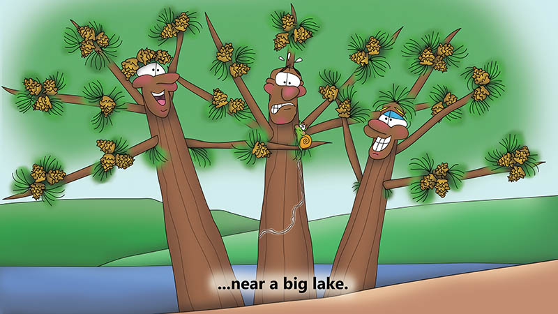 Bizzy Buddies Snail's Pace Productions The Three Tree Brothers Educational Illustrated Stories Multi Lingual Languages