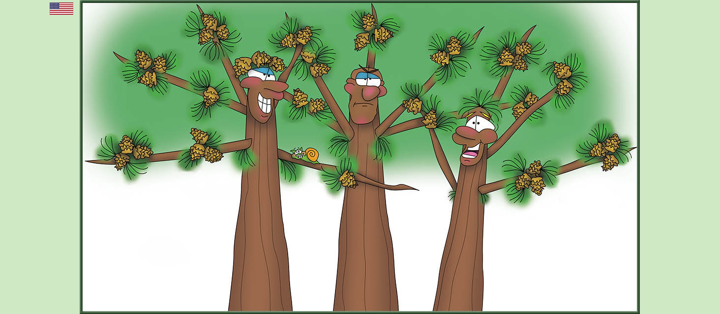 Bizzy Buddies Snail's Pace Productions The Three Tree Brothers Educational Illustrated Stories Multi Lingual Languages