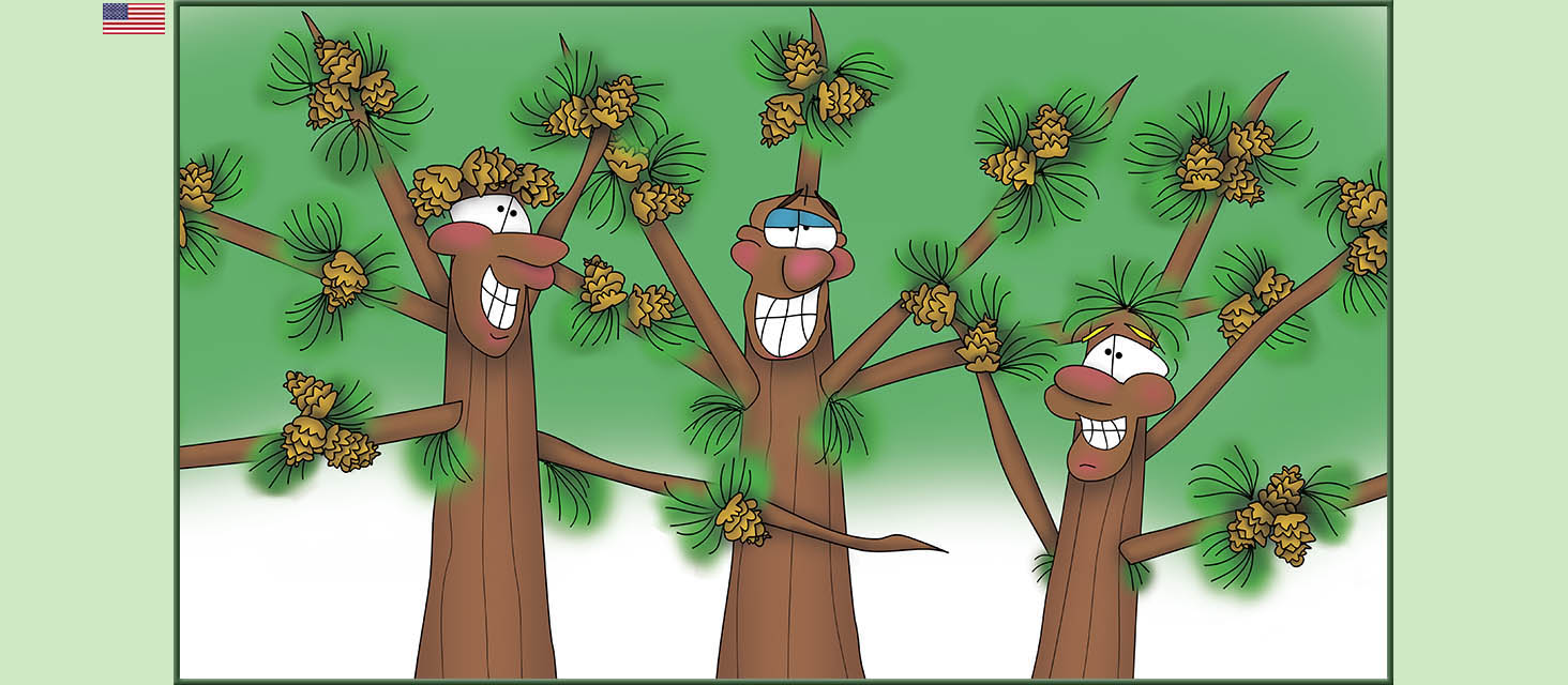 Bizzy Buddies Snail's Pace Productions The Three Tree Brothers Educational Illustrated Stories Multi Lingual Languages