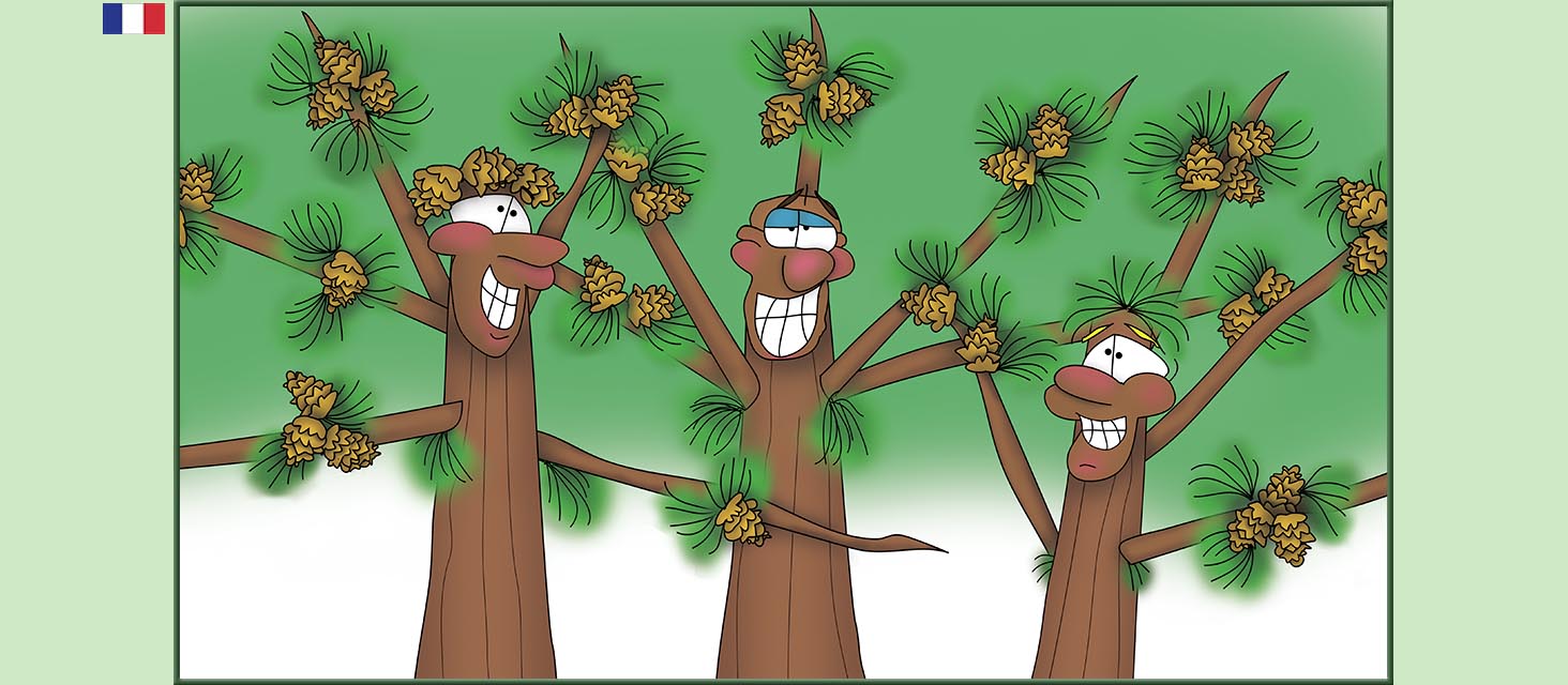 Bizzy Buddies Snail's Pace Productions Des histoires educatives illustrees et humoristiques en plusierur langues Vuja Day Multi Lingual Languages