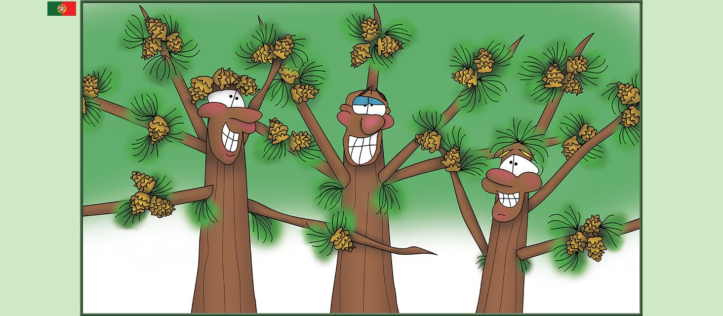 Bizzy Buddies Snail's Pace Productions The Three Tree Brothers Historias educativas ilustradas e bem-humoradas em varias linguas