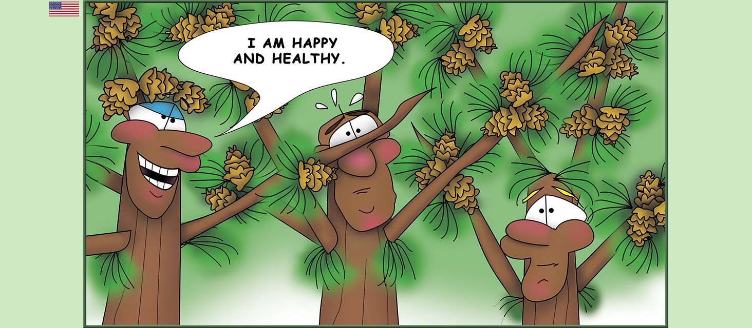 Bizzy Buddies Snail's Pace Productions The Three Tree Brothers Educational Illustrated Stories Multi Lingual Languages