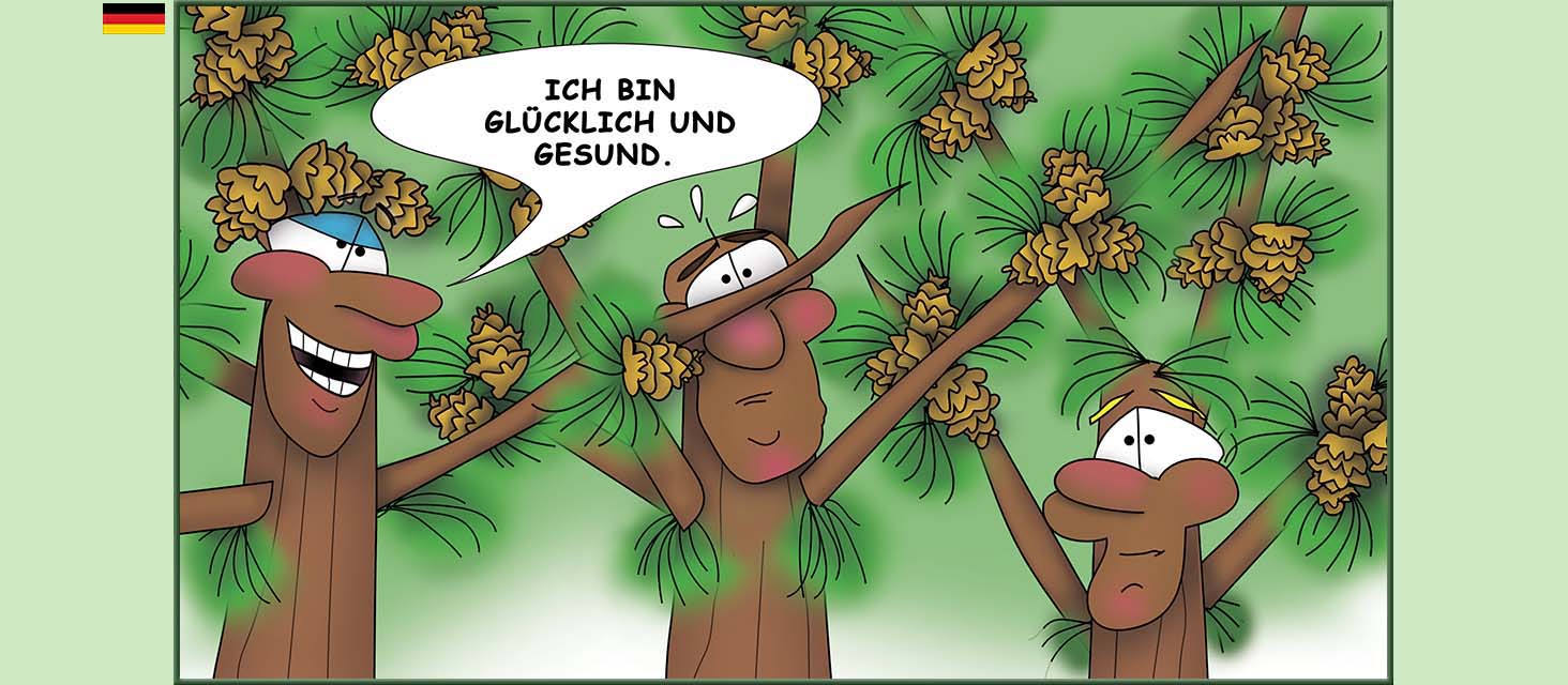 Bizzy Buddies Snail's Pace Productions Die Drei Baumbruder Aus dem Englishchen ins Deutsche ubersetzt Vuja Day Multi Lingual Languages