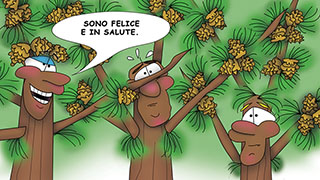 The Bizzy Buddies Snail's Pace Productions Humorous Illustrated Story Italian Language English Translation