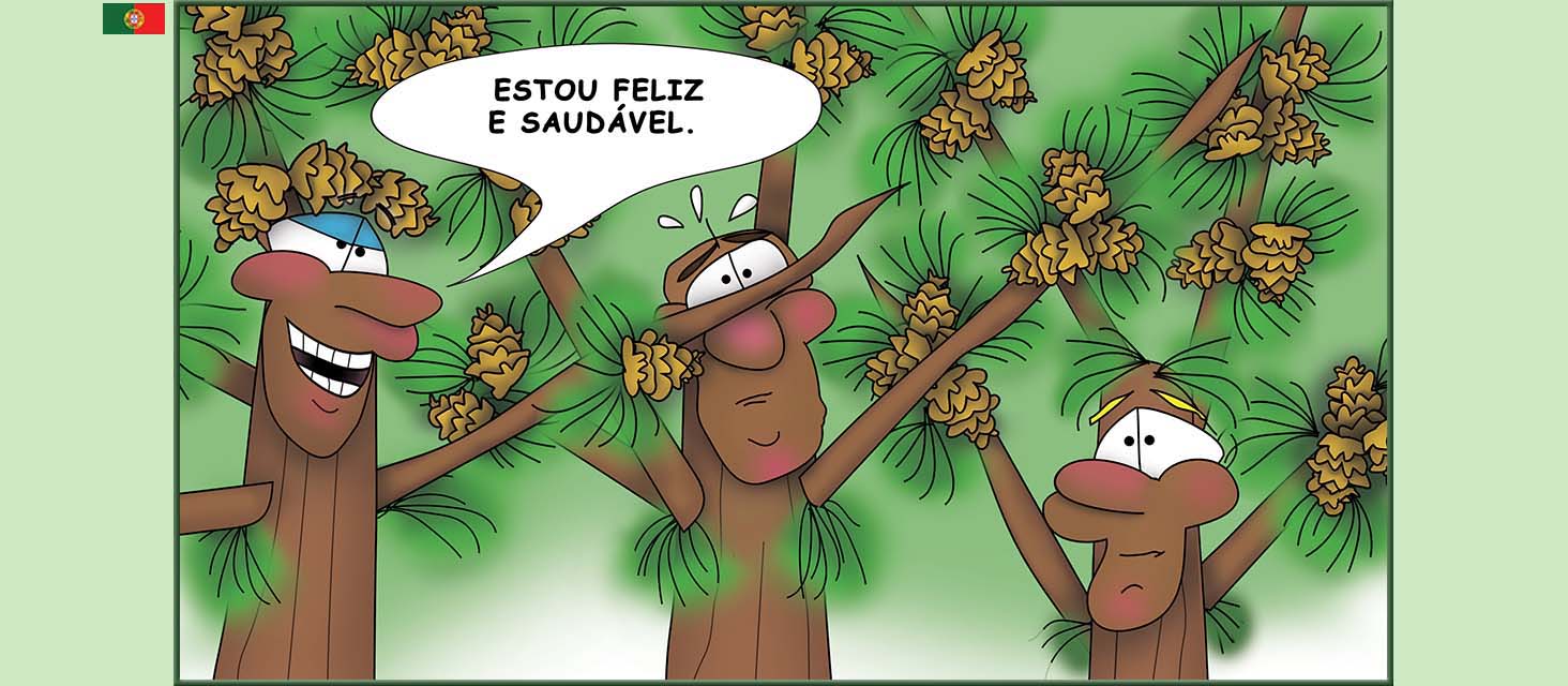 Bizzy Buddies Snail's Pace Productions The Three Tree Brothers Historias educativas ilustradas e bem-humoradas em varias linguas