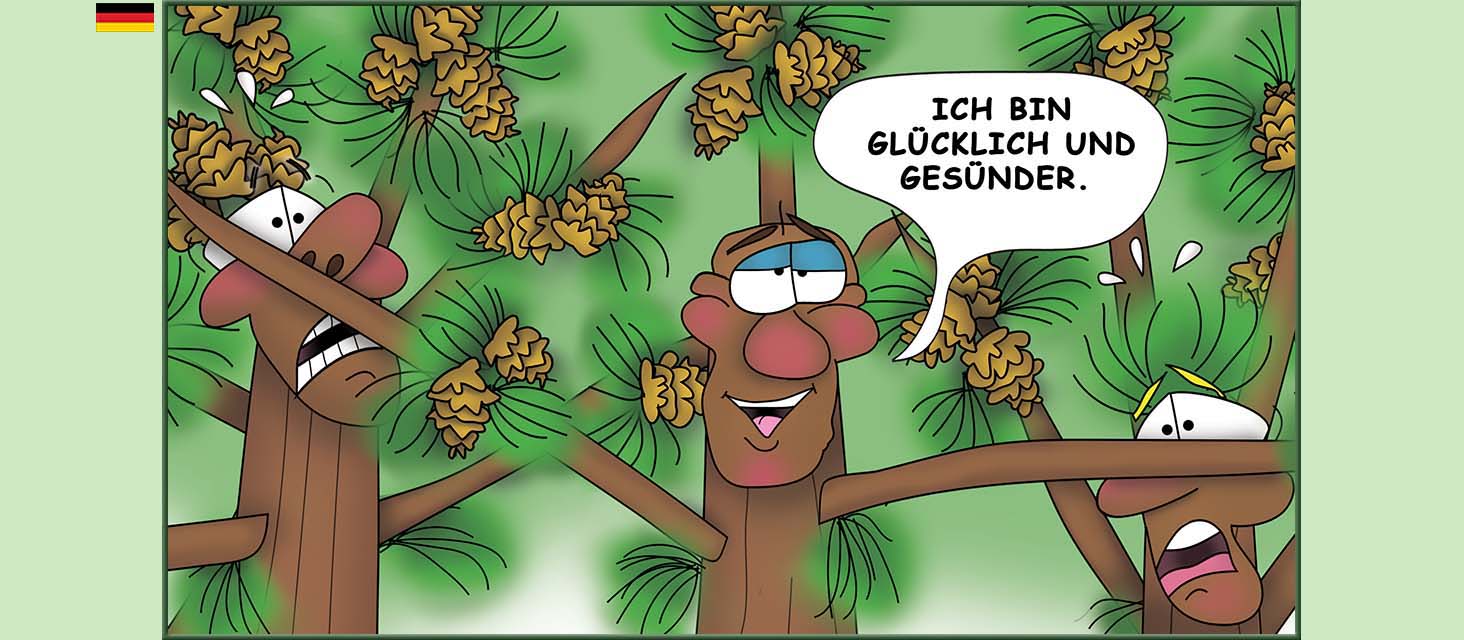 Bizzy Buddies Snail's Pace Productions Die Drei Baumbruder Aus dem Englishchen ins Deutsche ubersetzt Vuja Day Multi Lingual Languages