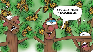 The Bizzy Buddies Snail's Pace Productions Humorous Illustrated Story Spanish Language English Translation