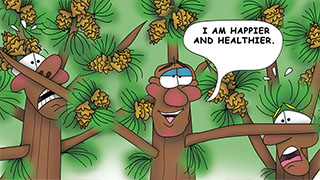 The Bizzy Buddies Snail's Pace Productions Humorous Illustrated Human Cartoons by Vuja Day Comedy Writer Illustrator