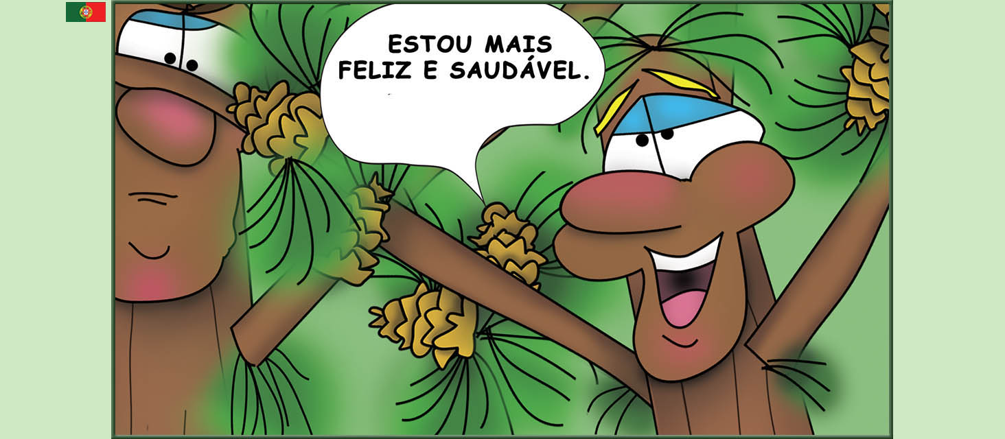 Bizzy Buddies Snail's Pace Productions The Three Tree Brothers Historias educativas ilustradas e bem-humoradas em varias linguas