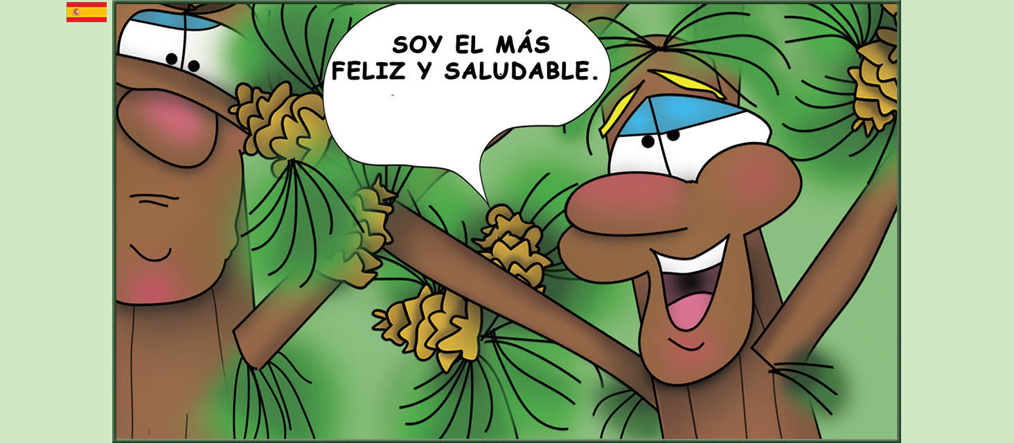 Bizzy Buddies Snail's Pace Productions Los Tres Hermanos Árbol Cuentos educativos ilustrados y humoristicos en varios idiomas