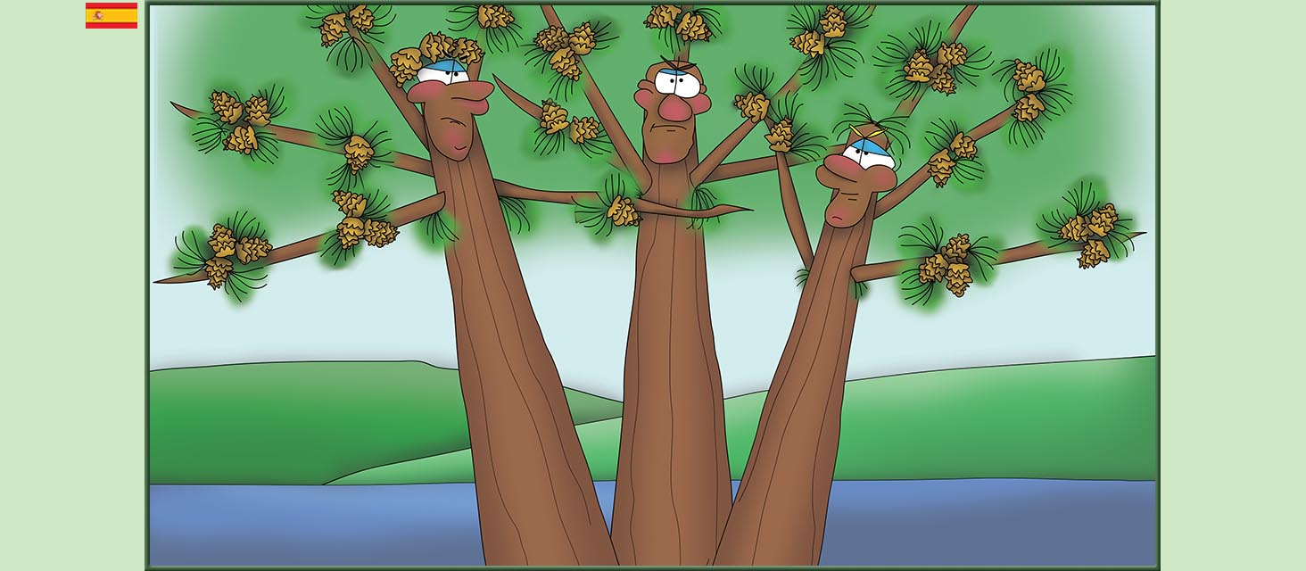 Bizzy Buddies Snail's Pace Productions Los Tres Hermanos Árbol Cuentos educativos ilustrados y humoristicos en varios idiomas