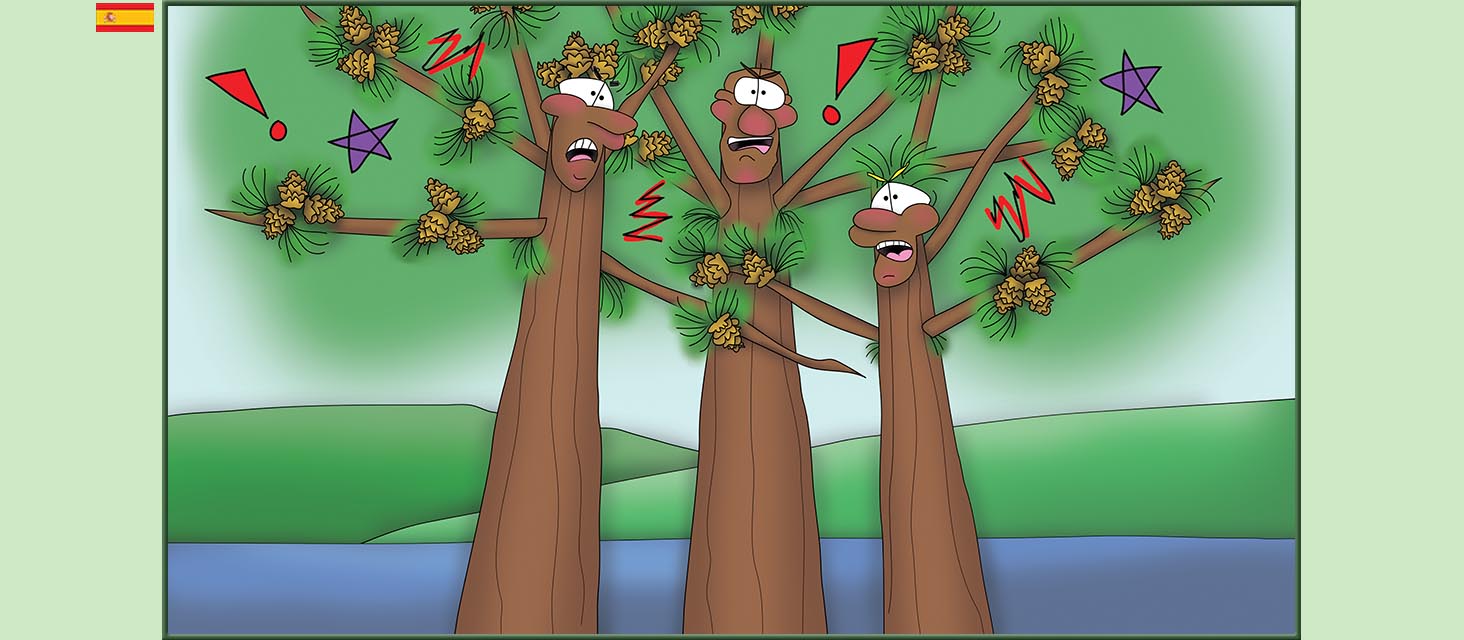 Bizzy Buddies Snail's Pace Productions Los Tres Hermanos Árbol Cuentos educativos ilustrados y humoristicos en varios idiomas