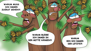 The Bizzy Buddies Snail's Pace Productions Humorous Illustrated Story German Language English Translation