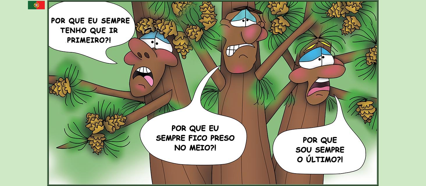 Bizzy Buddies Snail's Pace Productions The Three Tree Brothers Historias educativas ilustradas e bem-humoradas em varias linguas