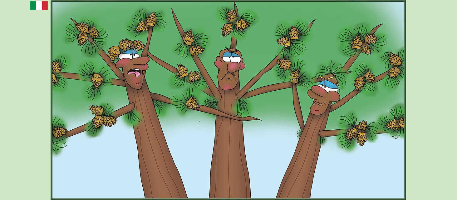 Bizzy Buddies Snail's Pace Productions storie illustrate umoristiche tradotte dall'inglese portoghese spagnola italiana francese tedesca Vuja Day