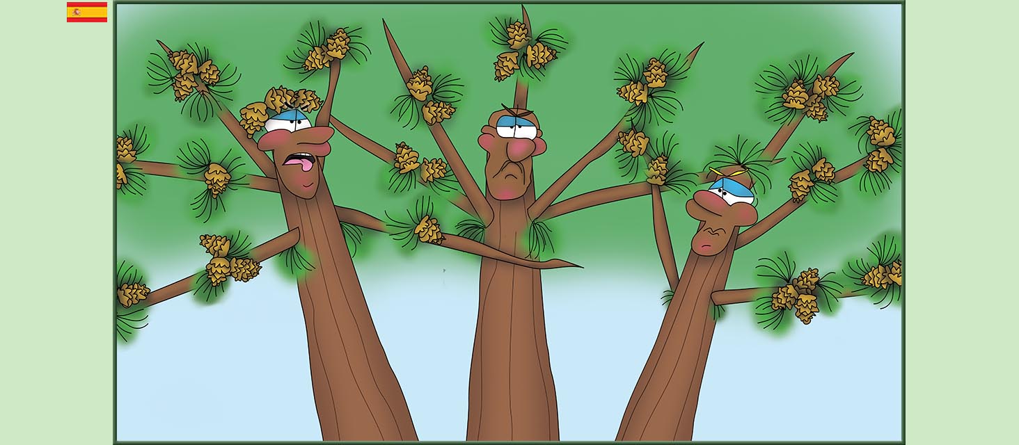 Bizzy Buddies Snail's Pace Productions Los Tres Hermanos Árbol Cuentos educativos ilustrados y humoristicos en varios idiomas