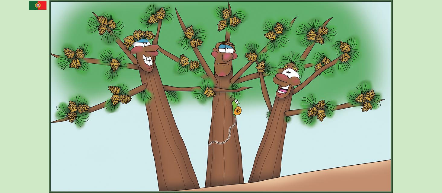 Bizzy Buddies Snail's Pace Productions The Three Tree Brothers Historias educativas ilustradas e bem-humoradas em varias linguas