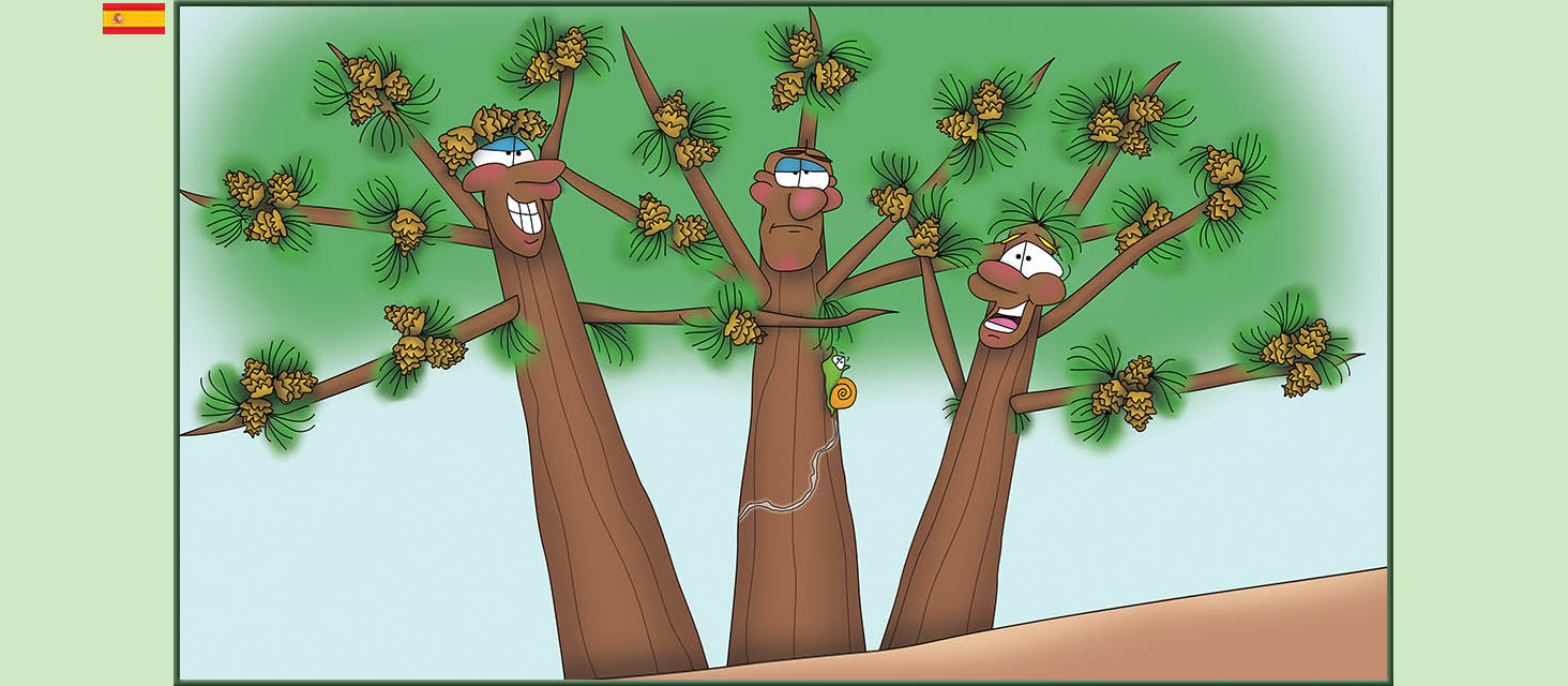 Bizzy Buddies Snail's Pace Productions Los Tres Hermanos Árbol Cuentos educativos ilustrados y humoristicos en varios idiomas