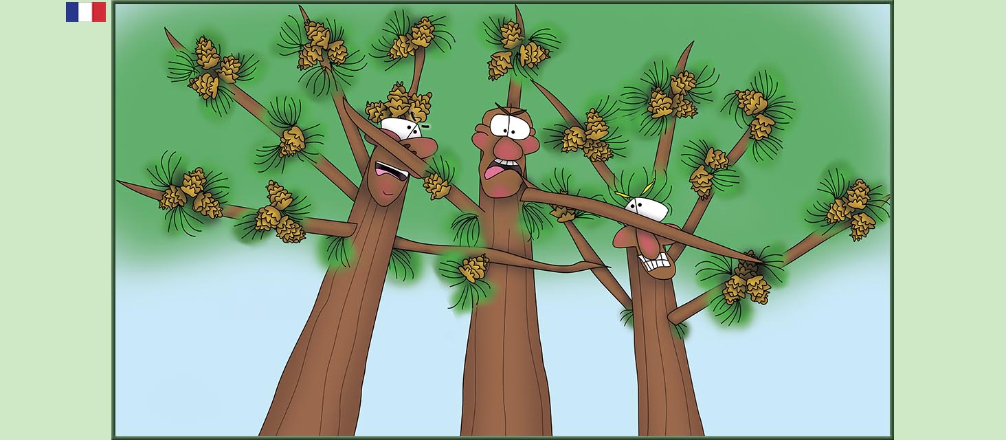 Bizzy Buddies Snail's Pace Productions Des histoires educatives illustrees et humoristiques en plusierur langues Vuja Day Multi Lingual Languages