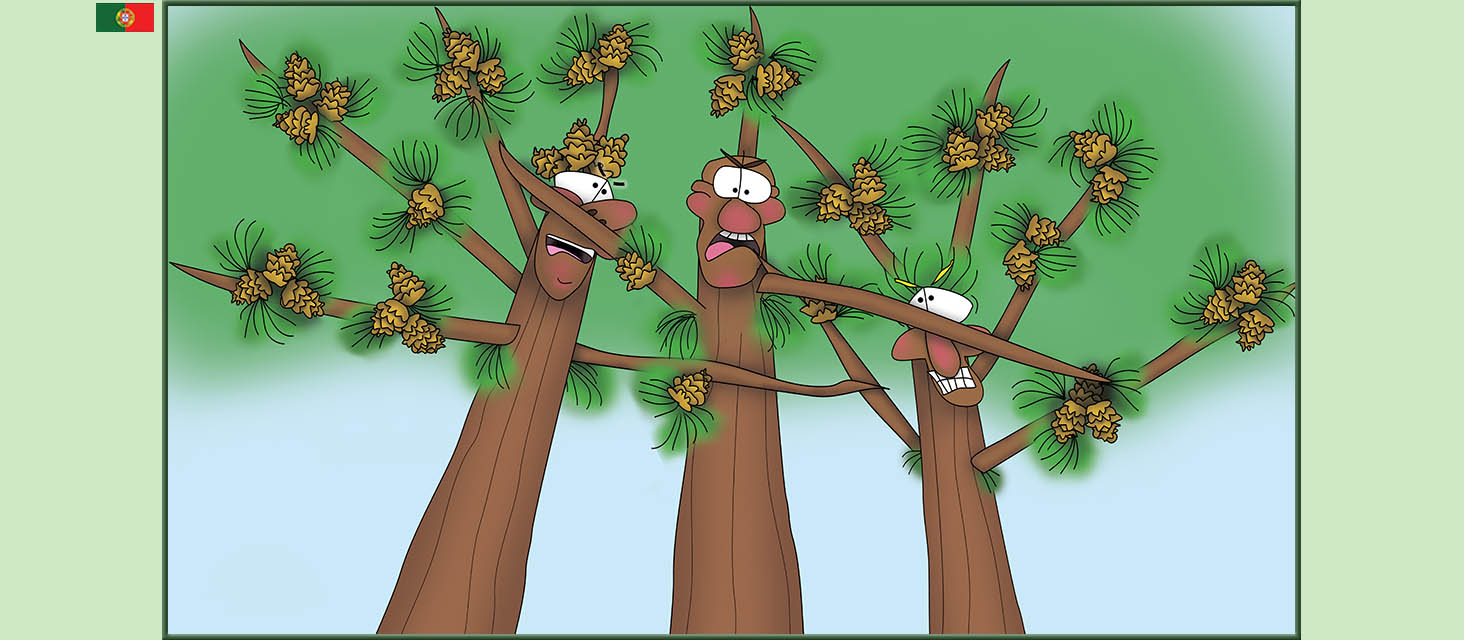 Bizzy Buddies Snail's Pace Productions The Three Tree Brothers Historias educativas ilustradas e bem-humoradas em varias linguas