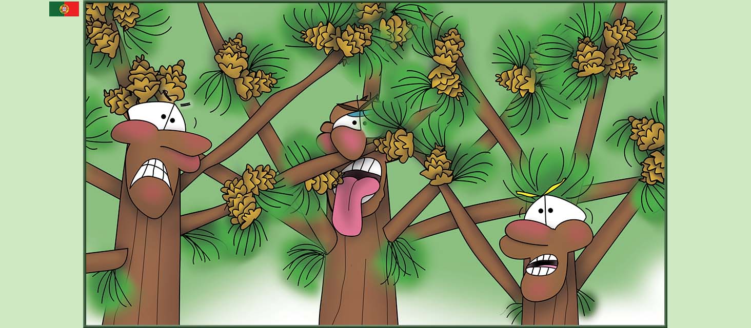 Bizzy Buddies Snail's Pace Productions The Three Tree Brothers Historias educativas ilustradas e bem-humoradas em varias linguas