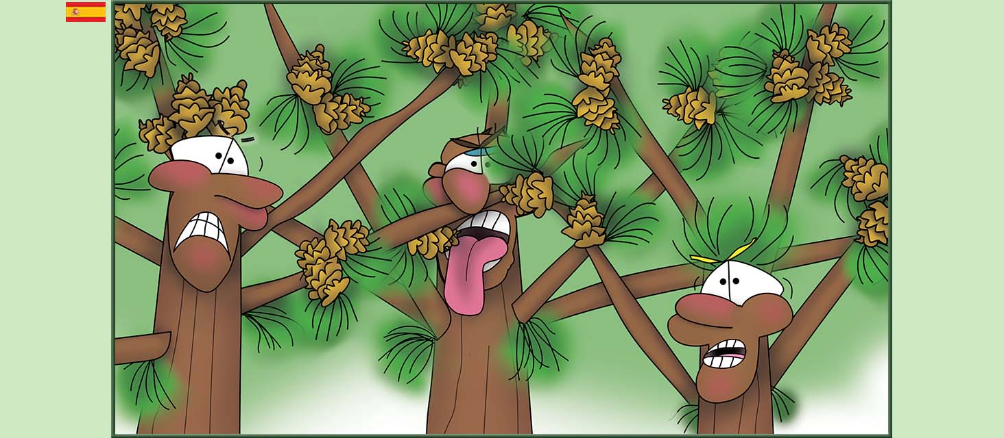 Bizzy Buddies Snail's Pace Productions Los Tres Hermanos Árbol Cuentos educativos ilustrados y humoristicos en varios idiomas