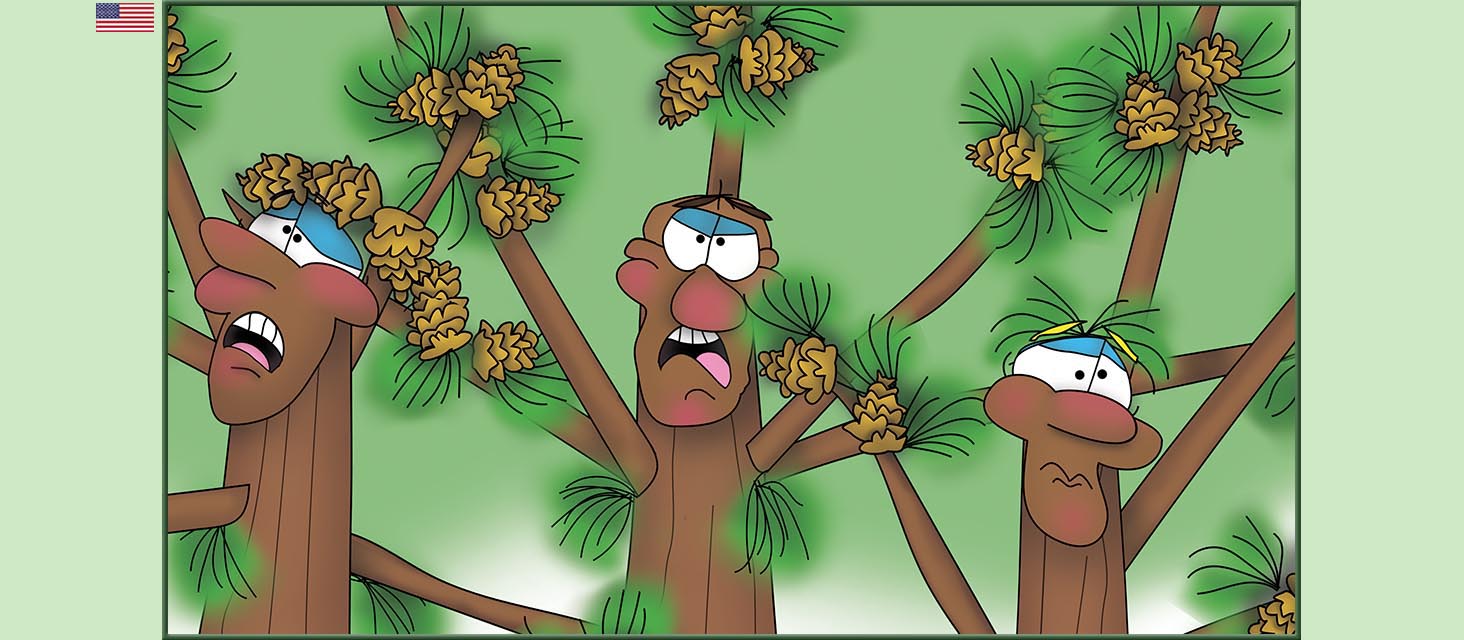 Bizzy Buddies Snail's Pace Productions The Three Tree Brothers Educational Illustrated Stories Multi Lingual Languages