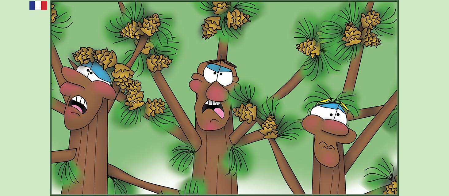 Bizzy Buddies Snail's Pace Productions Des histoires educatives illustrees et humoristiques en plusierur langues Vuja Day Multi Lingual Languages