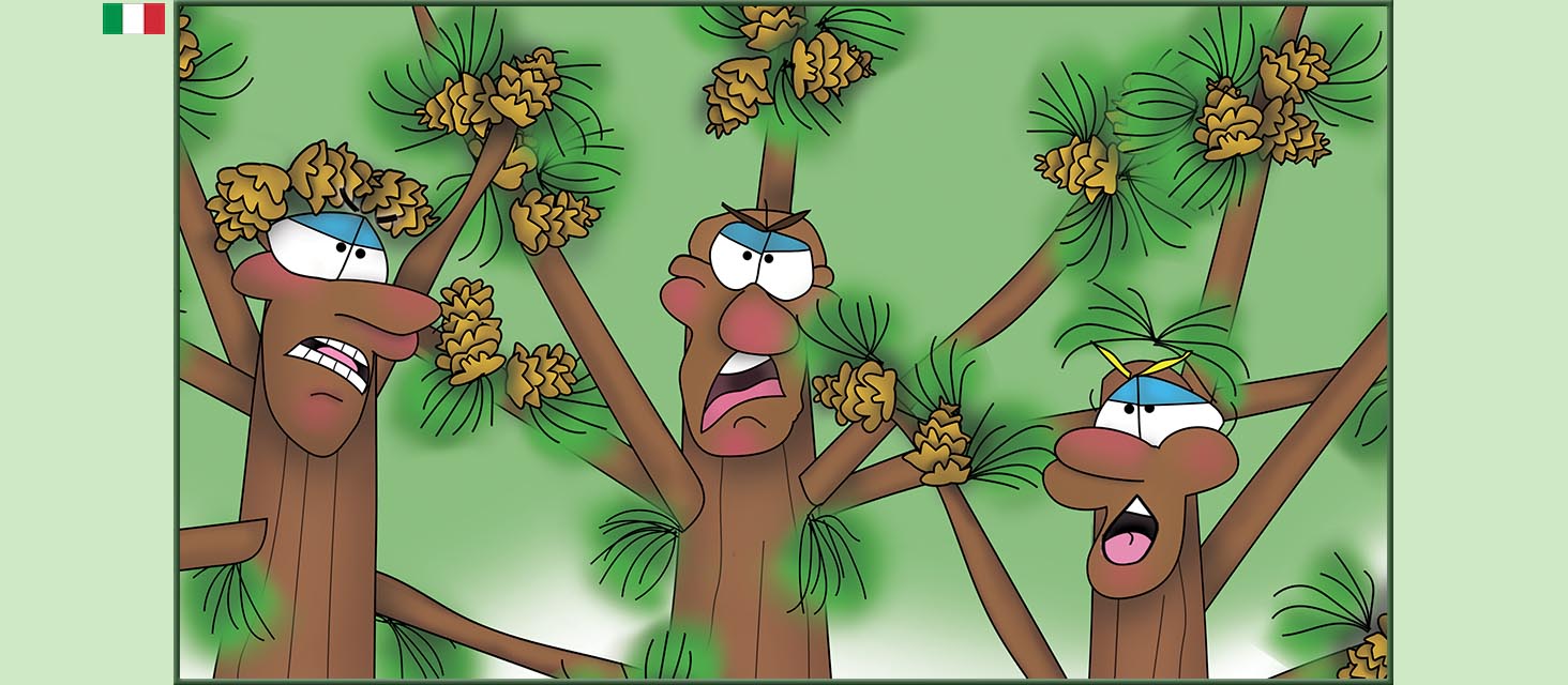 Bizzy Buddies Snail's Pace Productions storie illustrate umoristiche tradotte dall'inglese portoghese spagnola italiana francese tedesca Vuja Day